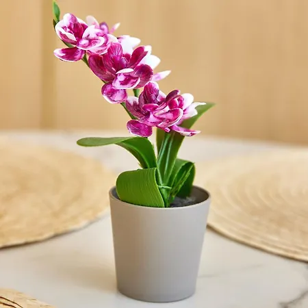 Serenis By Signature *